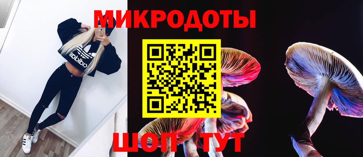 Улан-Удэ  Галлюциногенные грибы Psilocybe  Псилоцибиновые грибы ЛСД  Вход с VPN 