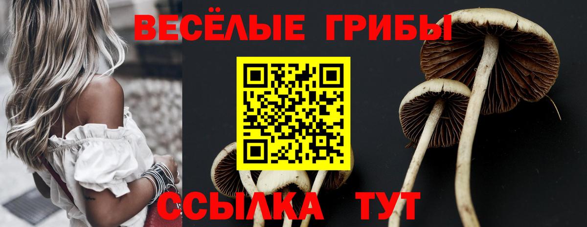 Галлюциногенные грибы Psilocybe Улан-Удэ